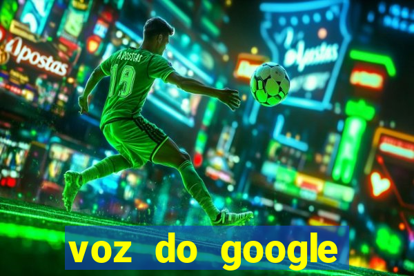 voz do google tradutor homem